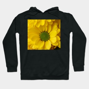 Yellow Pom Flower Close Up Hoodie